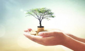 北京個人設(shè)計工作室注冊與運營全攻略 開啟您的專業(yè)設(shè)計服務(wù)之路